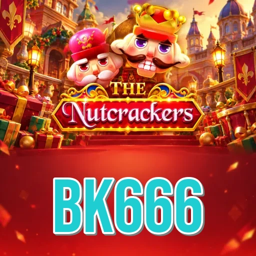 bk666 Install FAQ